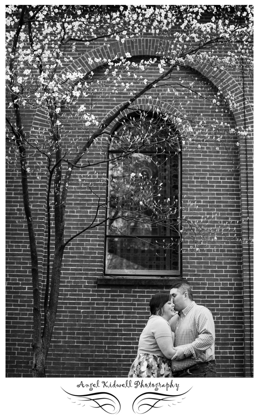 Downtown Annapolis, St. Anne's Parish, happy couple, couple kissing under a tree