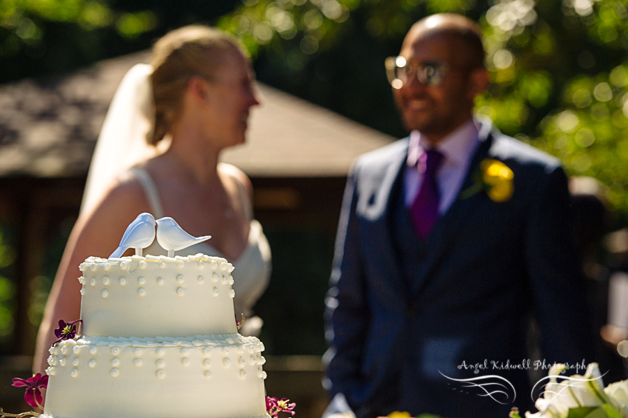 13th floor wedding, maryland wedding photographer, pasadena maryland wedding photographer, downs park wedding