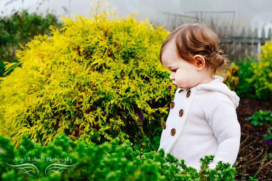 kinder farm park photographer; maryland barn family session; maryland family photographer; pasadena family photographer; maryland children's photographer