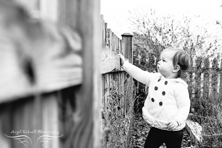 kinder farm park photographer; maryland barn family session; maryland family photographer; pasadena family photographer; maryland children's photographer; millersville family photographer