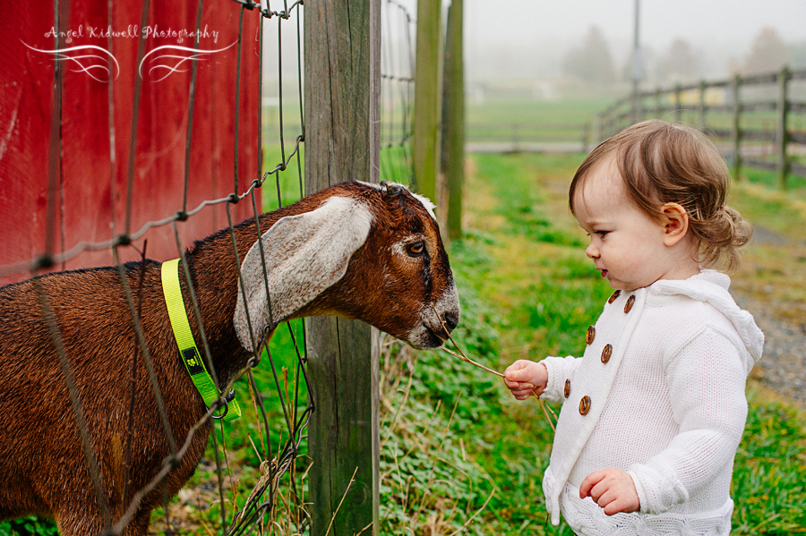 kinder farm park photographer; maryland barn family session; maryland family photographer; pasadena family photographer; maryland children's photographer; millersville family photographer