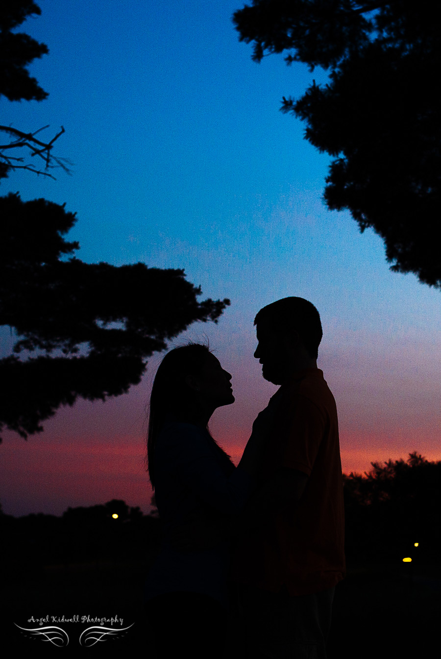 Rockburn Branch Park Engagement photo