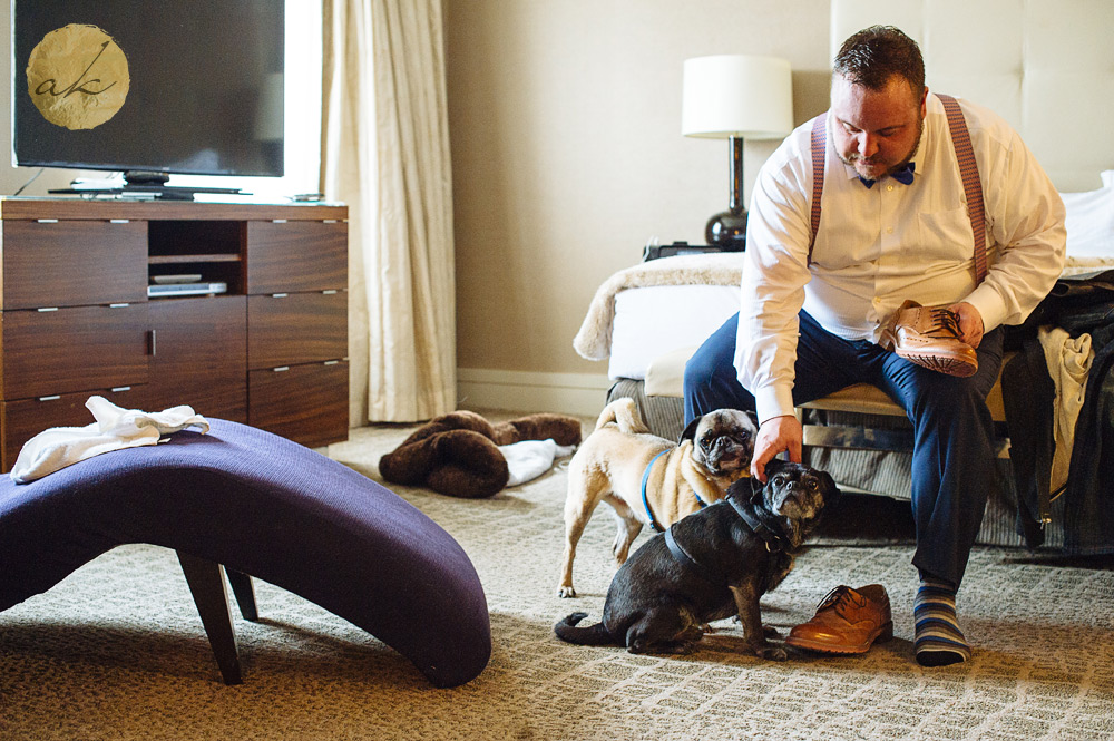 Dog friendly hotel in washington dc