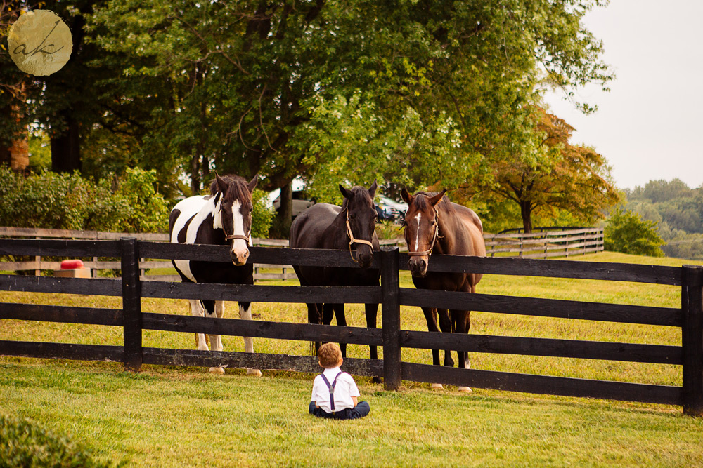 black-horse-inn-wedding0073