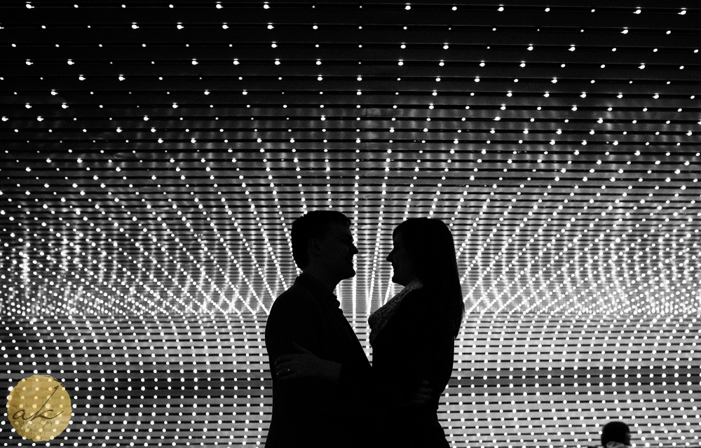 national gallery of art engagement photos