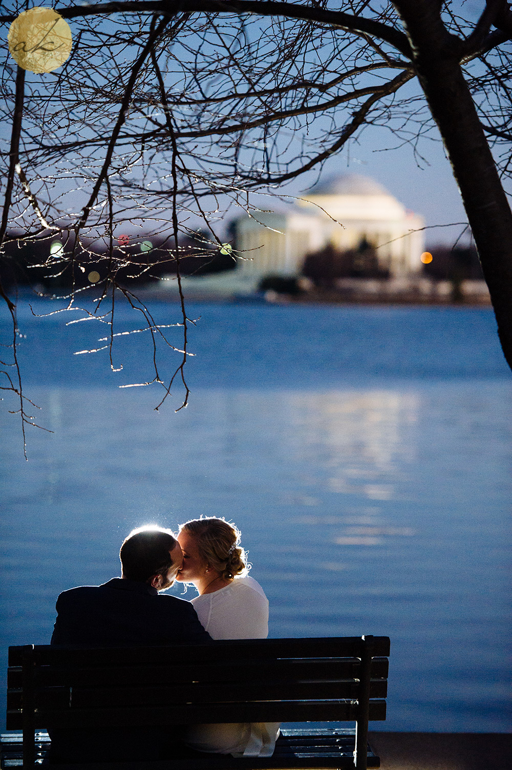 tidal basin wedding photos