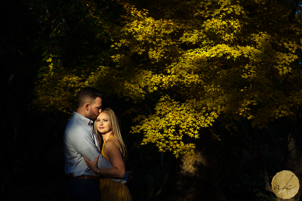 Fall Maryland engagement photography